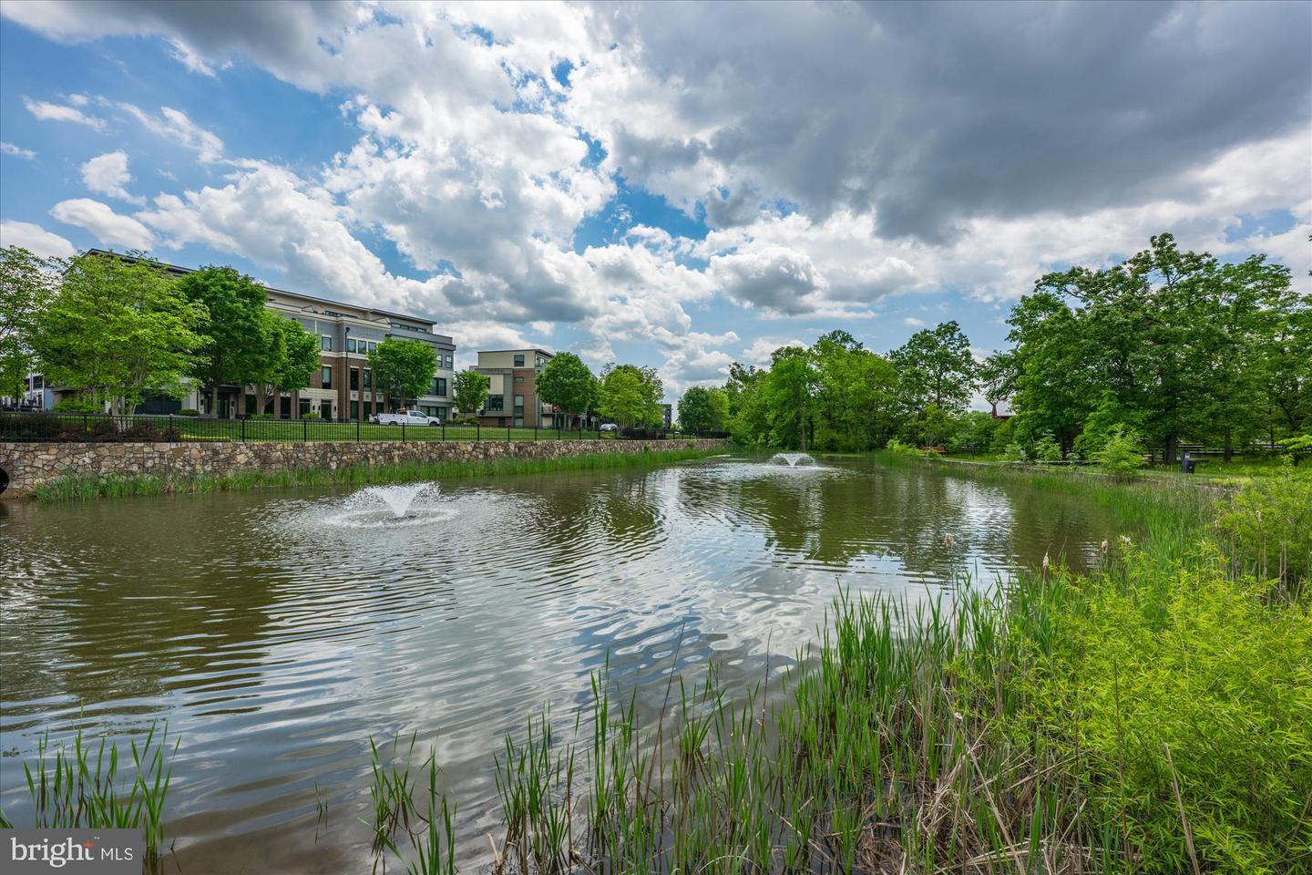 20305 SAVIN HILL DR, ASHBURN, Virginia 20147, 4 Bedrooms Bedrooms, ,3 BathroomsBathrooms,Residential,For sale,20305 SAVIN HILL DR,VALO2111068 MLS # VALO2111068 20305 SAVIN HILL DR, ASHBURN, Virginia 20147, 4 Bedrooms Bedrooms, ,3 BathroomsBathrooms,Residential,For sale,20305 SAVIN HILL DR,VALO2111068 MLS # VALO2111068