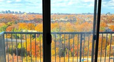 2500 N VAN DORN ST #1409, ALEXANDRIA, Virginia 22302, 1 Bedroom Bedrooms, ,1 BathroomBathrooms,Residential,For sale,2500 N VAN DORN ST #1409,VAAX2051768 MLS # VAAX2051768