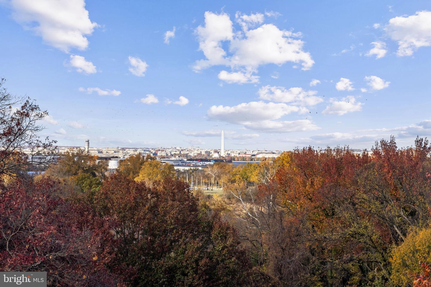 625 SLATERS LN #402, ALEXANDRIA, Virginia 22314, 3 Bedrooms Bedrooms, 3 Rooms Rooms,2 BathroomsBathrooms,Residential,For sale,625 SLATERS LN #402,VAAX2051754 MLS # VAAX2051754 625 SLATERS LN #402, ALEXANDRIA, Virginia 22314, 3 Bedrooms Bedrooms, 3 Rooms Rooms,2 BathroomsBathrooms,Residential,For sale,625 SLATERS LN #402,VAAX2051754 MLS # VAAX2051754