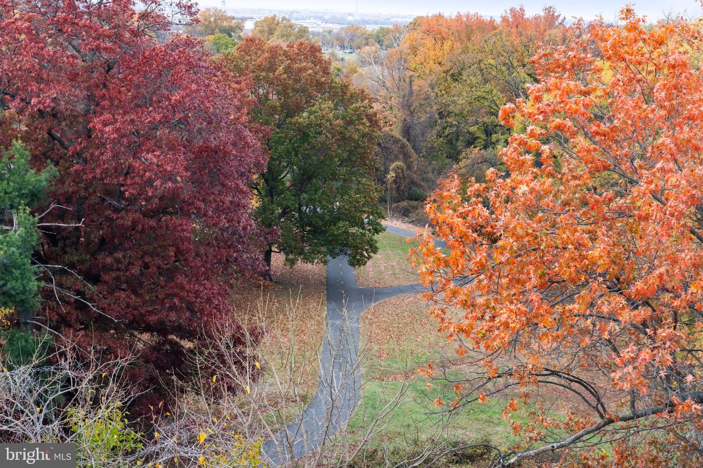 625 SLATERS LN #402, ALEXANDRIA, Virginia 22314, 3 Bedrooms Bedrooms, 3 Rooms Rooms,2 BathroomsBathrooms,Residential,For sale,625 SLATERS LN #402,VAAX2051754 MLS # VAAX2051754 625 SLATERS LN #402, ALEXANDRIA, Virginia 22314, 3 Bedrooms Bedrooms, 3 Rooms Rooms,2 BathroomsBathrooms,Residential,For sale,625 SLATERS LN #402,VAAX2051754 MLS # VAAX2051754