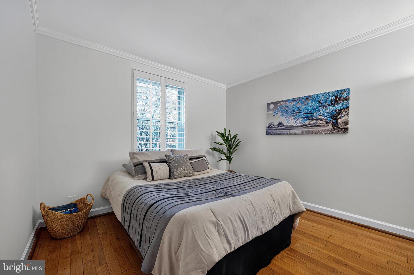 2949 S COLUMBUS ST #A2, ARLINGTON, Virginia 22206, 1 Bedroom Bedrooms, ,2 BathroomsBathrooms,Residential,For sale,2949 S COLUMBUS ST #A2,VAAR2065990 MLS # VAAR2065990 2949 S COLUMBUS ST #A2, ARLINGTON, Virginia 22206, 1 Bedroom Bedrooms, ,2 BathroomsBathrooms,Residential,For sale,2949 S COLUMBUS ST #A2,VAAR2065990 MLS # VAAR2065990