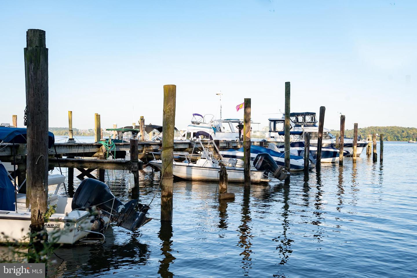 2949 S COLUMBUS ST #A2, ARLINGTON, Virginia 22206, 1 Bedroom Bedrooms, ,2 BathroomsBathrooms,Residential,For sale,2949 S COLUMBUS ST #A2,VAAR2065990 MLS # VAAR2065990 2949 S COLUMBUS ST #A2, ARLINGTON, Virginia 22206, 1 Bedroom Bedrooms, ,2 BathroomsBathrooms,Residential,For sale,2949 S COLUMBUS ST #A2,VAAR2065990 MLS # VAAR2065990