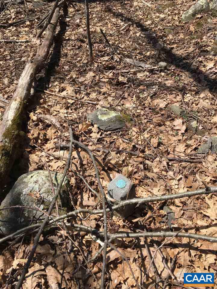 16903 BLUE RIDGE PKWY, LYNDHURST, Virginia 22952, 3 Bedrooms Bedrooms, ,1 BathroomBathrooms,Residential,For sale,16903 BLUE RIDGE PKWY,671029 MLS # 671029 16903 BLUE RIDGE PKWY, LYNDHURST, Virginia 22952, 3 Bedrooms Bedrooms, ,1 BathroomBathrooms,Residential,For sale,16903 BLUE RIDGE PKWY,671029 MLS # 671029