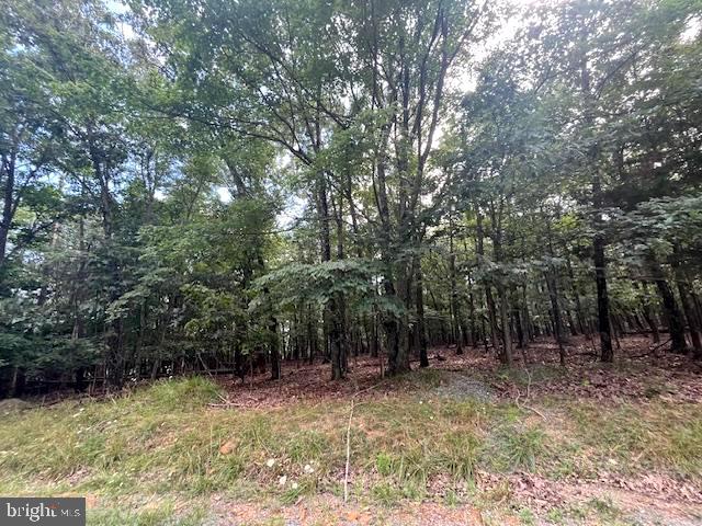 0 THREE OAKS LN, GORE, Virginia 22637, ,Land,For sale,0 THREE OAKS LN,VAFV2037858 MLS # VAFV2037858 0 THREE OAKS LN, GORE, Virginia 22637, ,Land,For sale,0 THREE OAKS LN,VAFV2037858 MLS # VAFV2037858