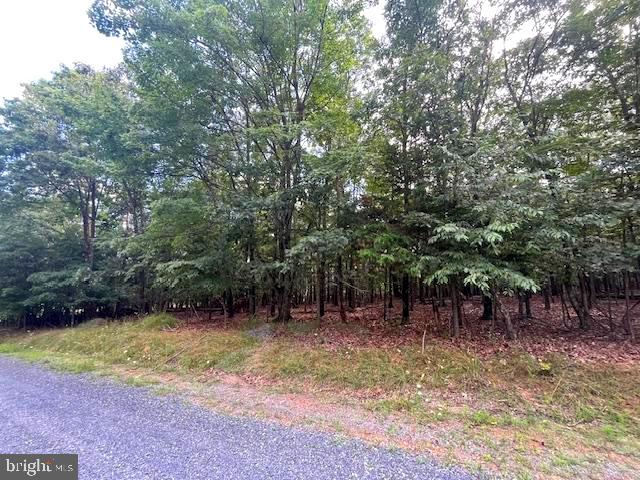 0 THREE OAKS LN, GORE, Virginia 22637, ,Land,For sale,0 THREE OAKS LN,VAFV2037858 MLS # VAFV2037858 0 THREE OAKS LN, GORE, Virginia 22637, ,Land,For sale,0 THREE OAKS LN,VAFV2037858 MLS # VAFV2037858