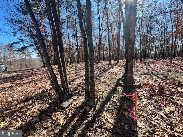 0 THREE OAKS LN, GORE, Virginia 22637, ,Land,For sale,0 THREE OAKS LN,VAFV2037858 MLS # VAFV2037858 0 THREE OAKS LN, GORE, Virginia 22637, ,Land,For sale,0 THREE OAKS LN,VAFV2037858 MLS # VAFV2037858