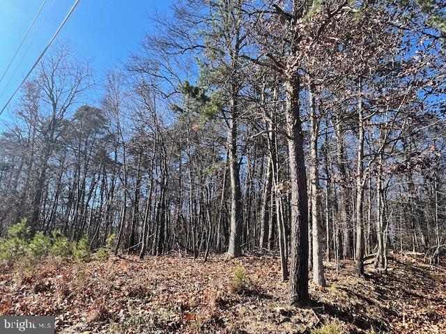 0 THREE OAKS LN, GORE, Virginia 22637, ,Land,For sale,0 THREE OAKS LN,VAFV2037858 MLS # VAFV2037858 0 THREE OAKS LN, GORE, Virginia 22637, ,Land,For sale,0 THREE OAKS LN,VAFV2037858 MLS # VAFV2037858