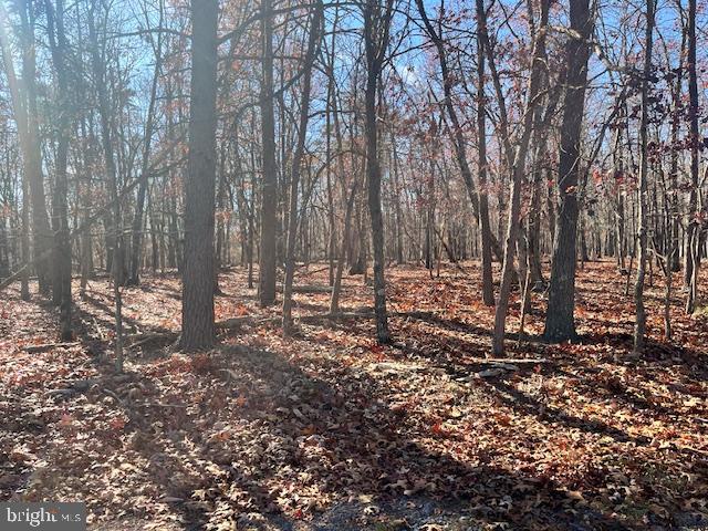 0 THREE OAKS LN, GORE, Virginia 22637, ,Land,For sale,0 THREE OAKS LN,VAFV2037858 MLS # VAFV2037858 0 THREE OAKS LN, GORE, Virginia 22637, ,Land,For sale,0 THREE OAKS LN,VAFV2037858 MLS # VAFV2037858