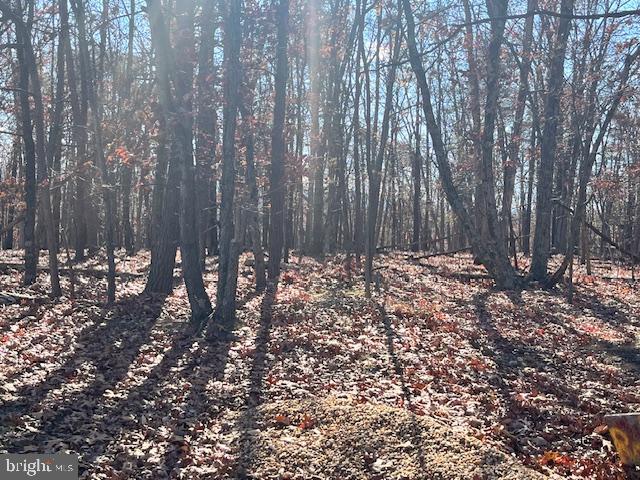 0 THREE OAKS LN, GORE, Virginia 22637, ,Land,For sale,0 THREE OAKS LN,VAFV2037858 MLS # VAFV2037858 0 THREE OAKS LN, GORE, Virginia 22637, ,Land,For sale,0 THREE OAKS LN,VAFV2037858 MLS # VAFV2037858