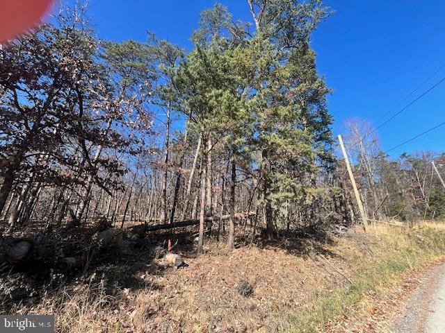 0 THREE OAKS LN, GORE, Virginia 22637, ,Land,For sale,0 THREE OAKS LN,VAFV2037858 MLS # VAFV2037858 0 THREE OAKS LN, GORE, Virginia 22637, ,Land,For sale,0 THREE OAKS LN,VAFV2037858 MLS # VAFV2037858