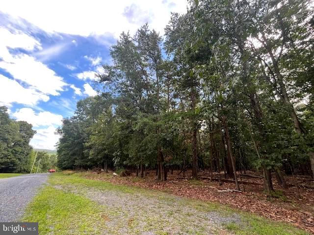 0 THREE OAKS LN, GORE, Virginia 22637, ,Land,For sale,0 THREE OAKS LN,VAFV2037858 MLS # VAFV2037858 0 THREE OAKS LN, GORE, Virginia 22637, ,Land,For sale,0 THREE OAKS LN,VAFV2037858 MLS # VAFV2037858
