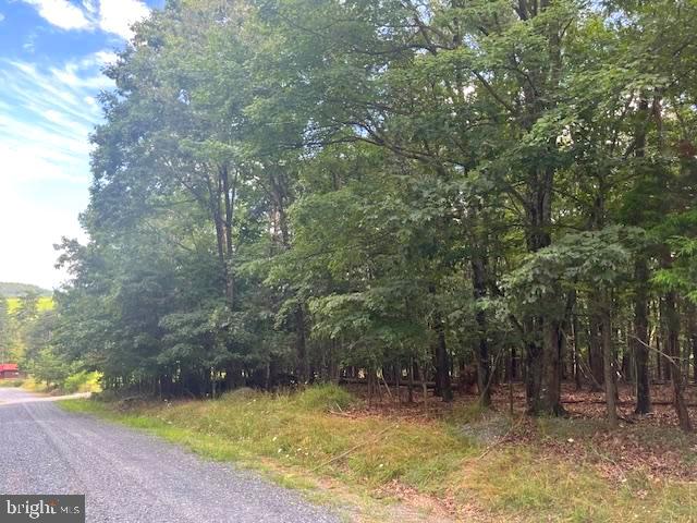 0 THREE OAKS LN, GORE, Virginia 22637, ,Land,For sale,0 THREE OAKS LN,VAFV2037858 MLS # VAFV2037858 0 THREE OAKS LN, GORE, Virginia 22637, ,Land,For sale,0 THREE OAKS LN,VAFV2037858 MLS # VAFV2037858