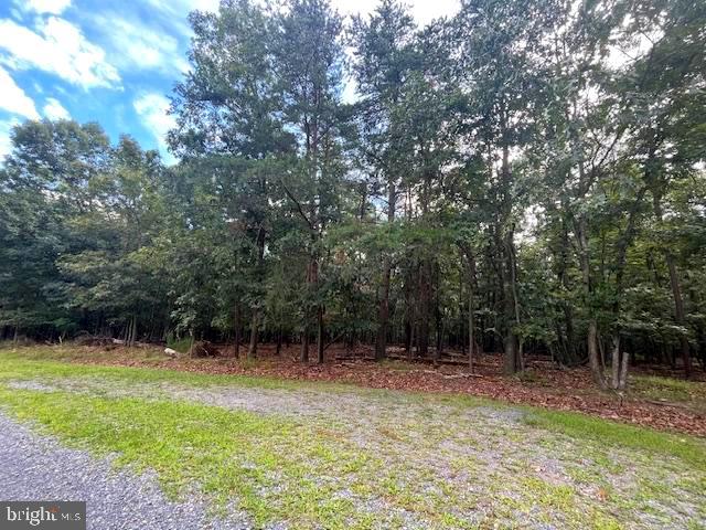 0 THREE OAKS LN, GORE, Virginia 22637, ,Land,For sale,0 THREE OAKS LN,VAFV2037858 MLS # VAFV2037858 0 THREE OAKS LN, GORE, Virginia 22637, ,Land,For sale,0 THREE OAKS LN,VAFV2037858 MLS # VAFV2037858