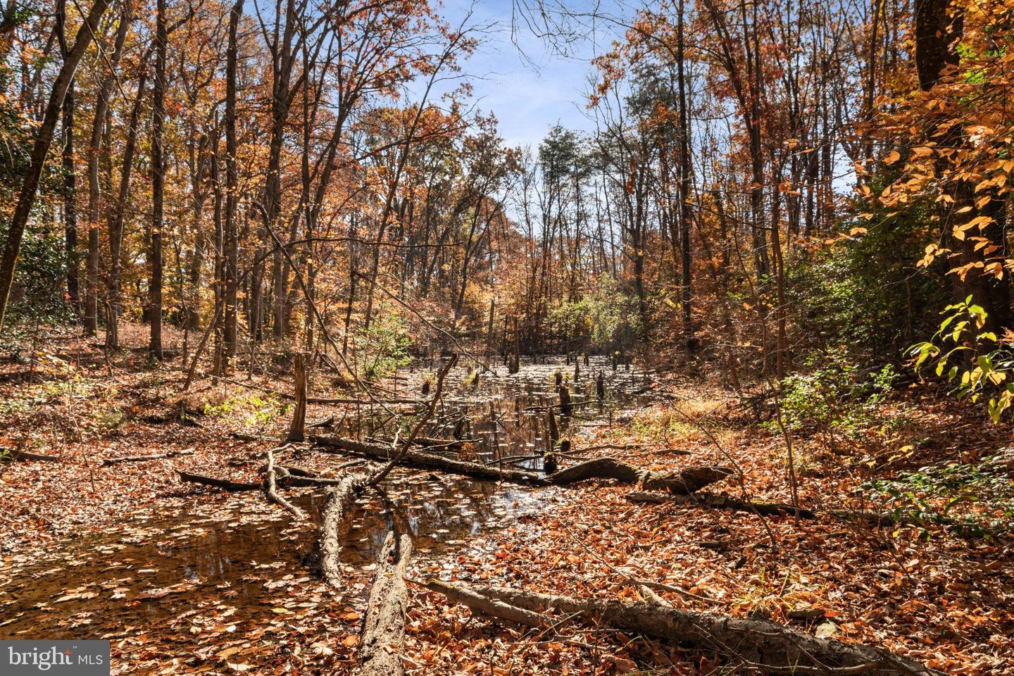 TRUSLOW RD, FREDERICKSBURG, Virginia 22405, ,Land,For sale,TRUSLOW RD,VAST2044186 MLS # VAST2044186 TRUSLOW RD, FREDERICKSBURG, Virginia 22405, ,Land,For sale,TRUSLOW RD,VAST2044186 MLS # VAST2044186