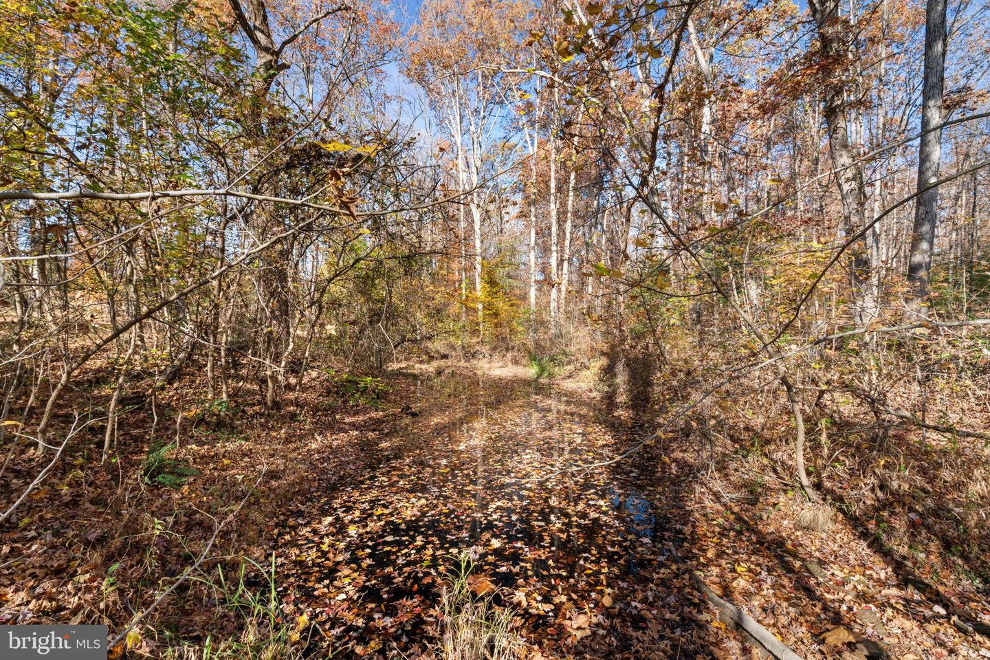 TRUSLOW RD, FREDERICKSBURG, Virginia 22405, ,Land,For sale,TRUSLOW RD,VAST2044186 MLS # VAST2044186 TRUSLOW RD, FREDERICKSBURG, Virginia 22405, ,Land,For sale,TRUSLOW RD,VAST2044186 MLS # VAST2044186