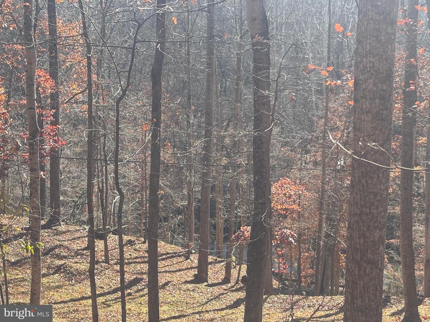 38196 LIME KILN RD, MIDDLEBURG, Virginia 20117, ,Land,For sale,38196 LIME KILN RD,VALO2111114 MLS # VALO2111114