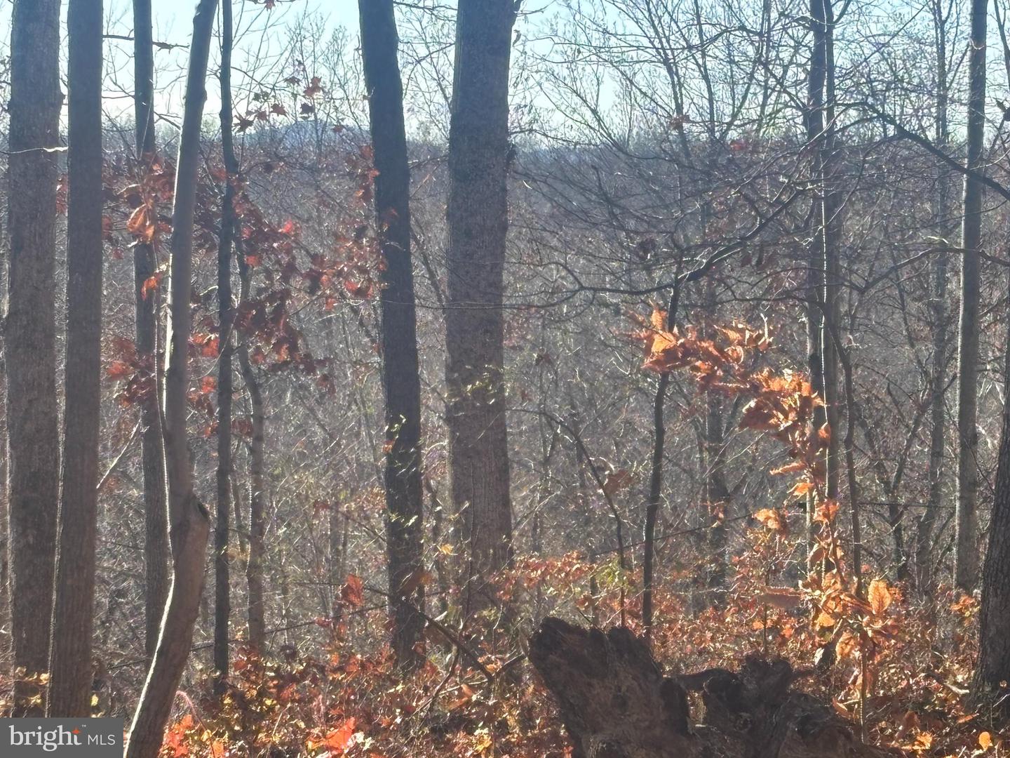 38196 LIME KILN RD, MIDDLEBURG, Virginia 20117, ,Land,For sale,38196 LIME KILN RD,VALO2111114 MLS # VALO2111114