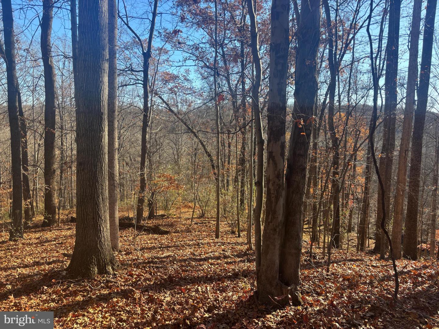 38196 LIME KILN RD, MIDDLEBURG, Virginia 20117, ,Land,For sale,38196 LIME KILN RD,VALO2111114 MLS # VALO2111114