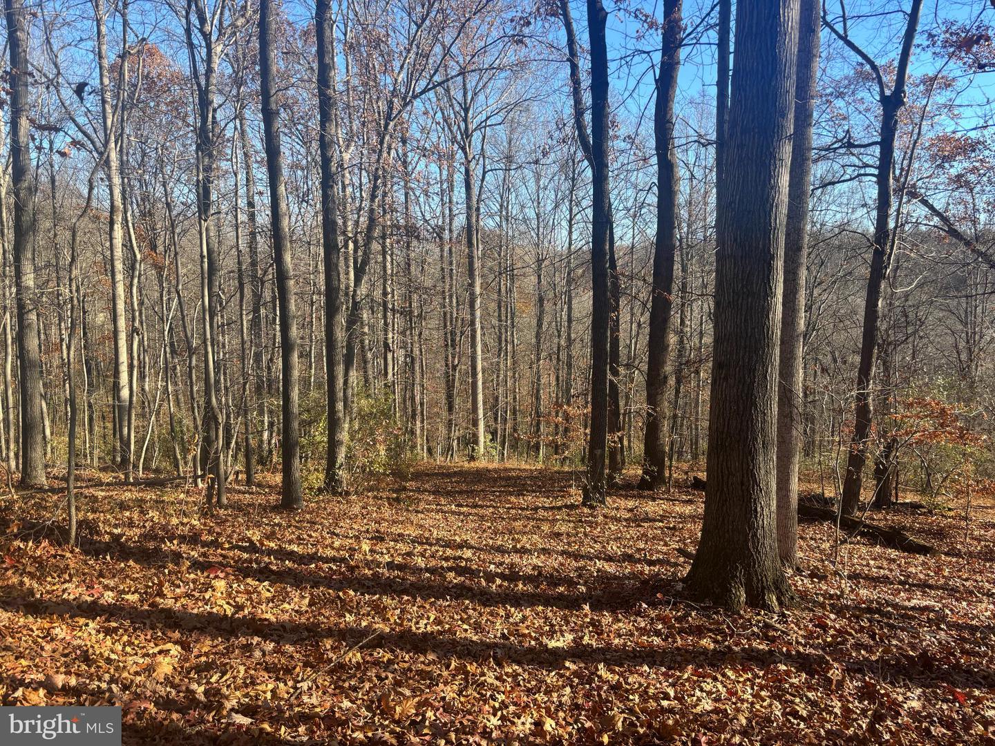 38196 LIME KILN RD, MIDDLEBURG, Virginia 20117, ,Land,For sale,38196 LIME KILN RD,VALO2111114 MLS # VALO2111114