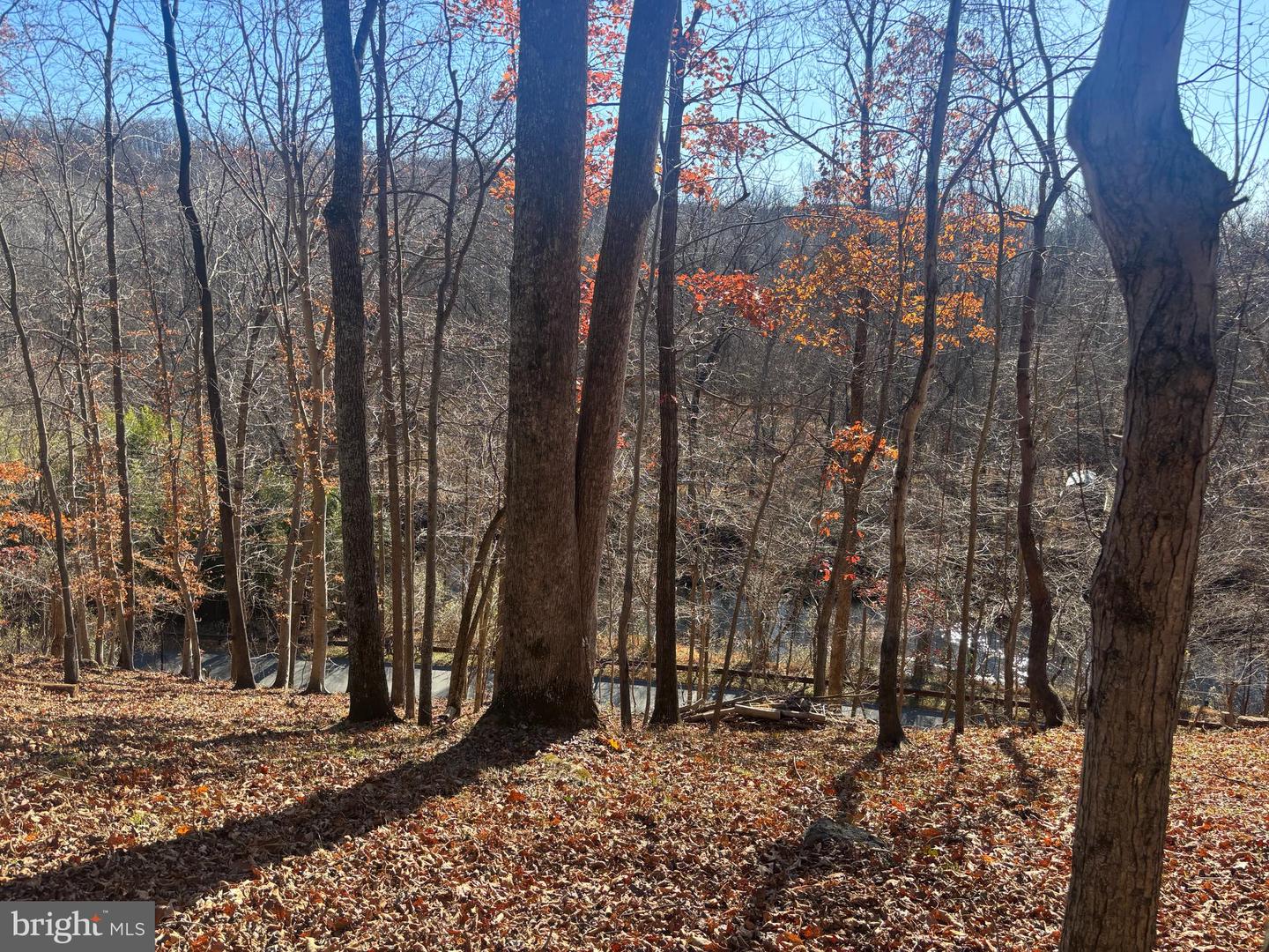 38196 LIME KILN RD, MIDDLEBURG, Virginia 20117, ,Land,For sale,38196 LIME KILN RD,VALO2111114 MLS # VALO2111114