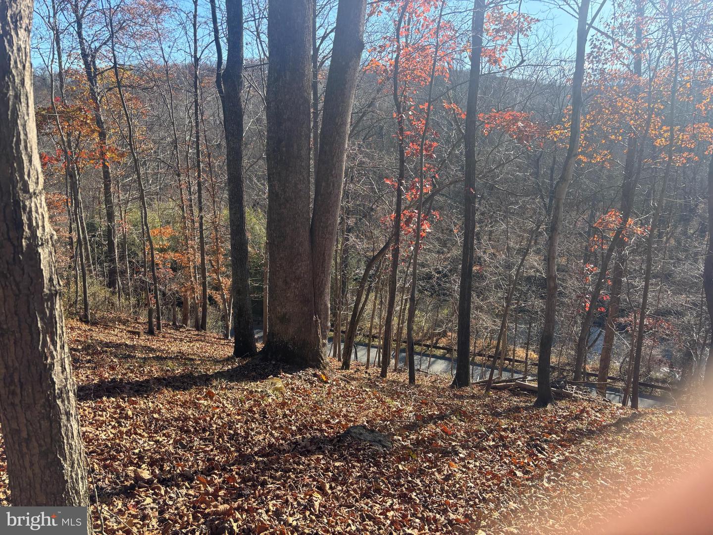 38196 LIME KILN RD, MIDDLEBURG, Virginia 20117, ,Land,For sale,38196 LIME KILN RD,VALO2111114 MLS # VALO2111114