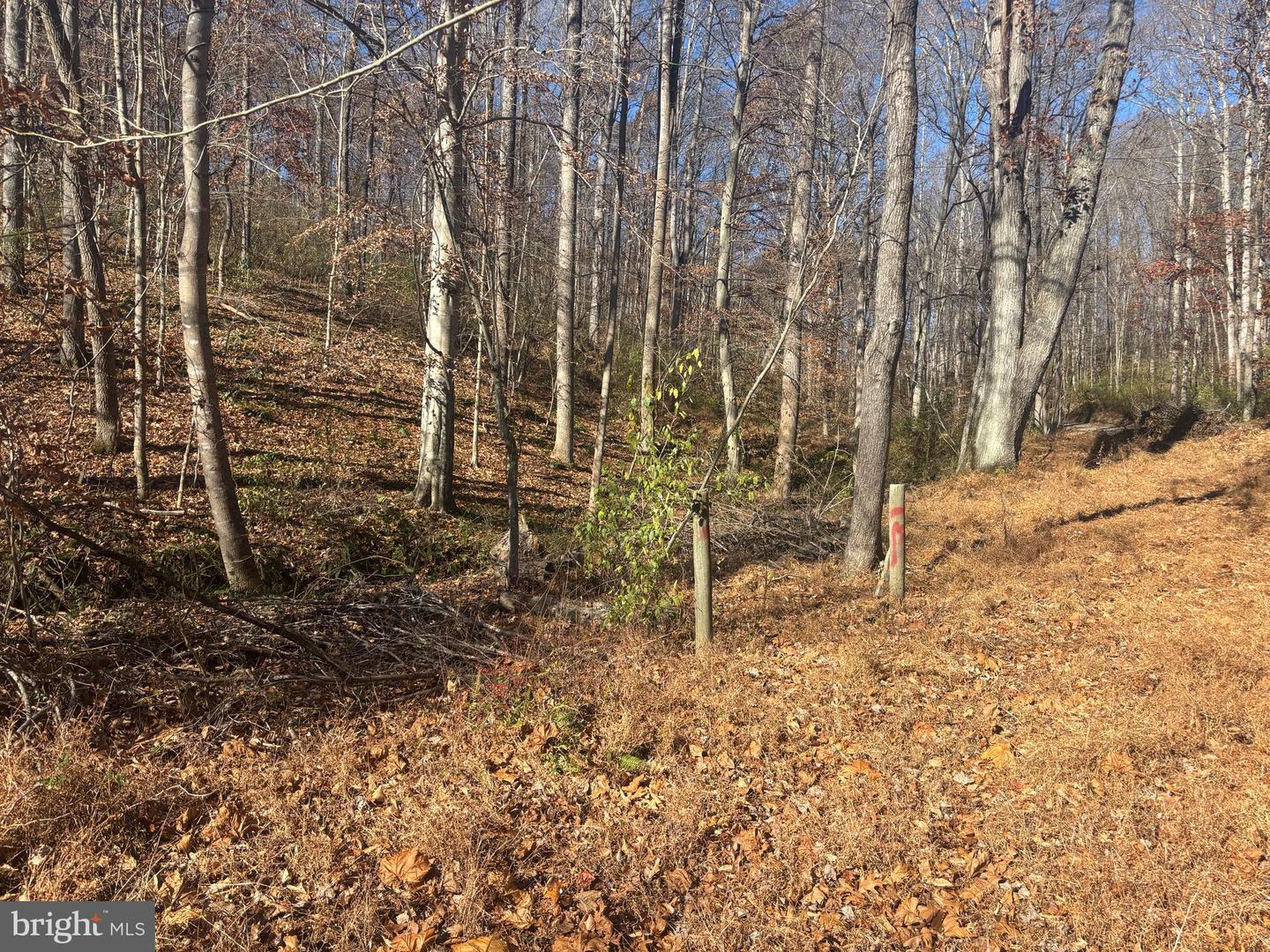 38196 LIME KILN RD, MIDDLEBURG, Virginia 20117, ,Land,For sale,38196 LIME KILN RD,VALO2111114 MLS # VALO2111114