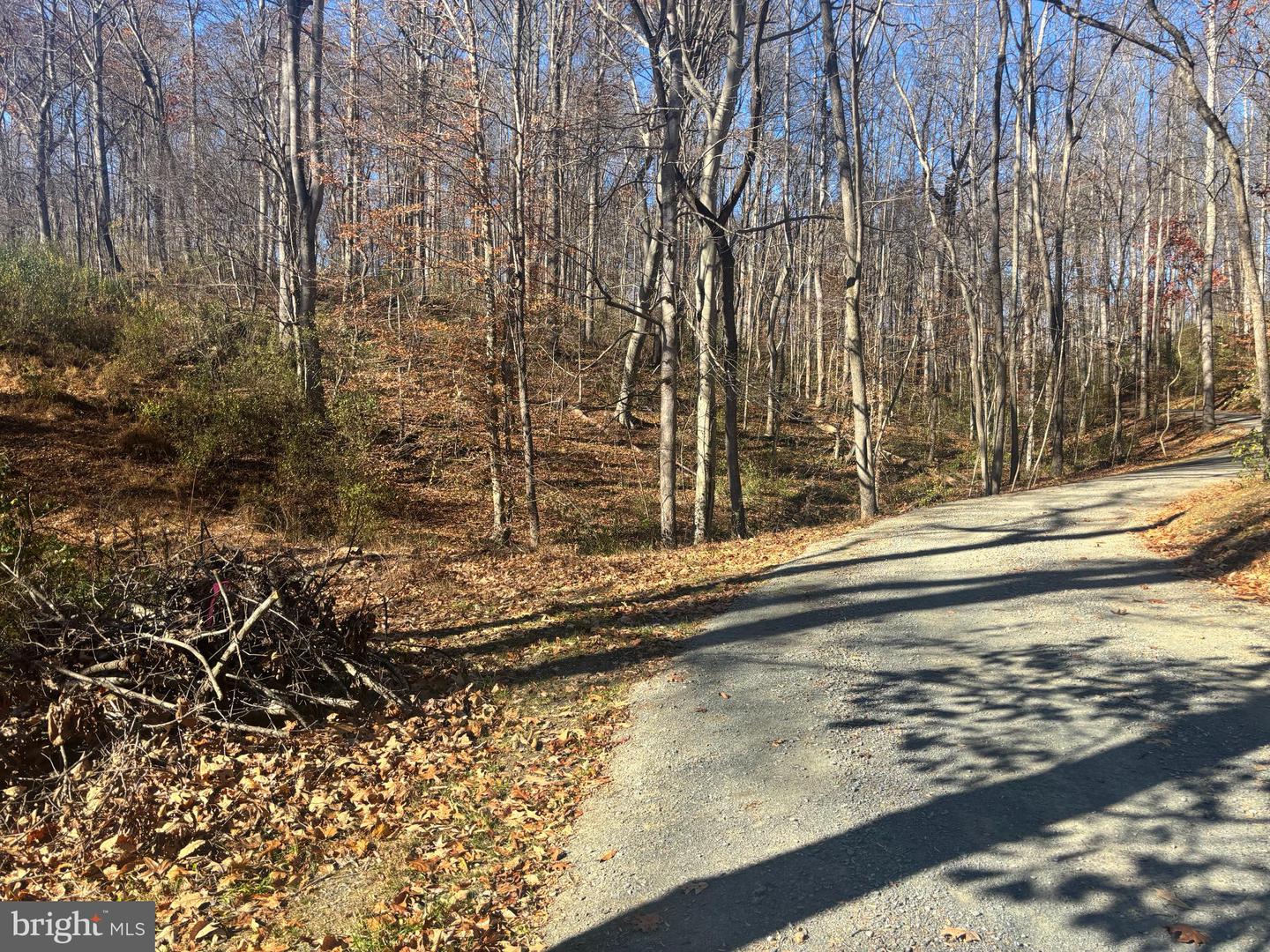 38196 LIME KILN RD, MIDDLEBURG, Virginia 20117, ,Land,For sale,38196 LIME KILN RD,VALO2111114 MLS # VALO2111114