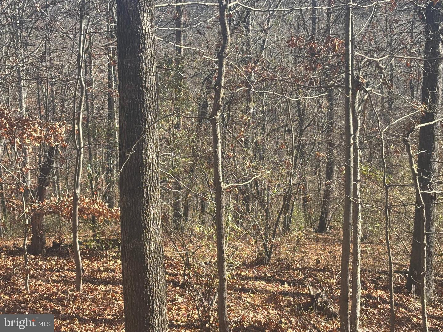 38196 LIME KILN RD, MIDDLEBURG, Virginia 20117, ,Land,For sale,38196 LIME KILN RD,VALO2111114 MLS # VALO2111114