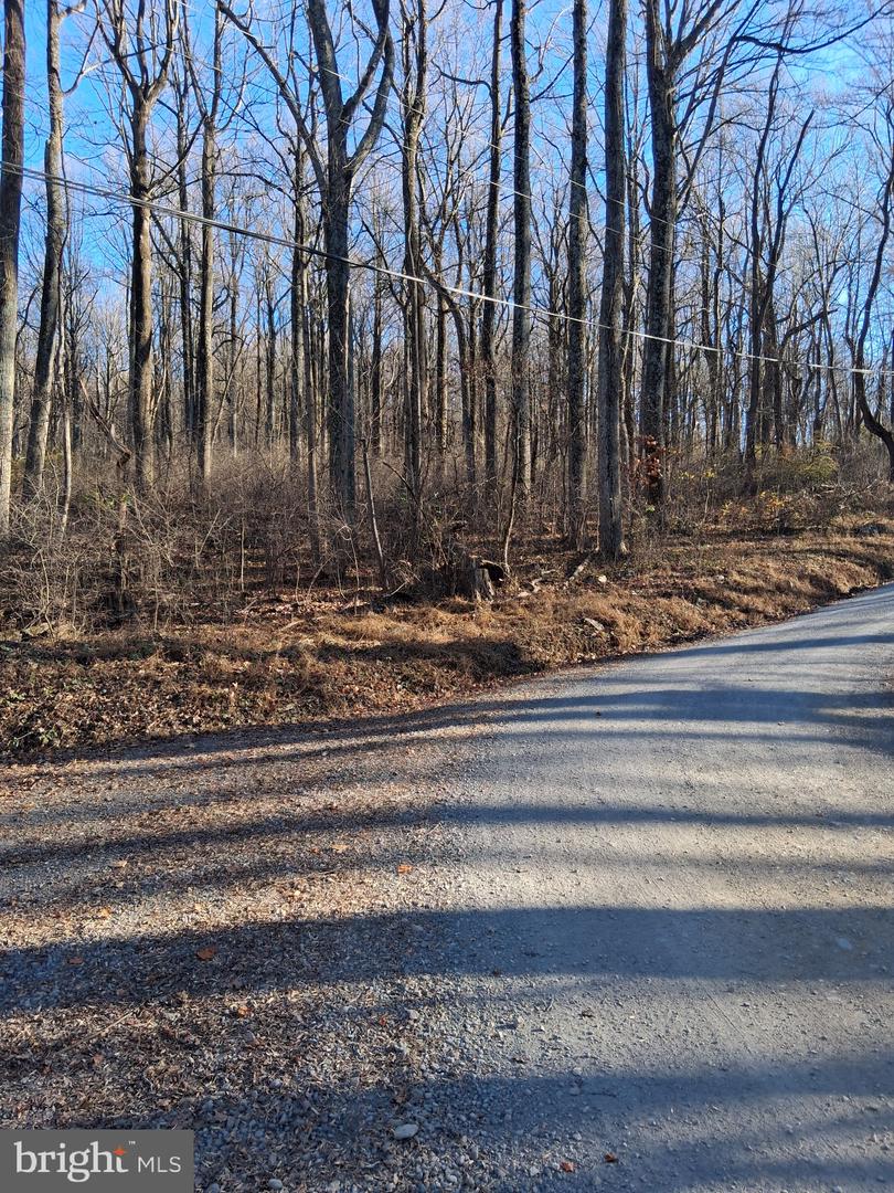 REID DR, FRONT ROYAL, Virginia 22630, ,Land,For sale,REID DR,VAWR2012780 MLS # VAWR2012780 REID DR, FRONT ROYAL, Virginia 22630, ,Land,For sale,REID DR,VAWR2012780 MLS # VAWR2012780