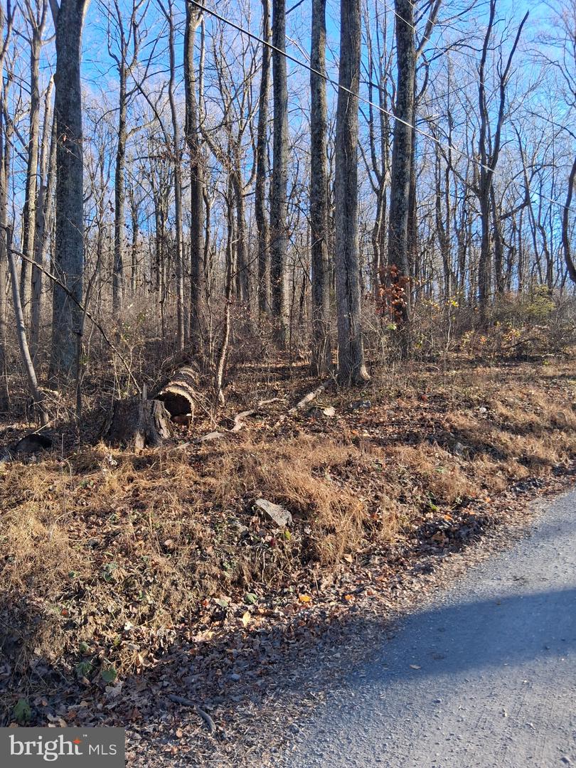 REID DR, FRONT ROYAL, Virginia 22630, ,Land,For sale,REID DR,VAWR2012780 MLS # VAWR2012780 REID DR, FRONT ROYAL, Virginia 22630, ,Land,For sale,REID DR,VAWR2012780 MLS # VAWR2012780