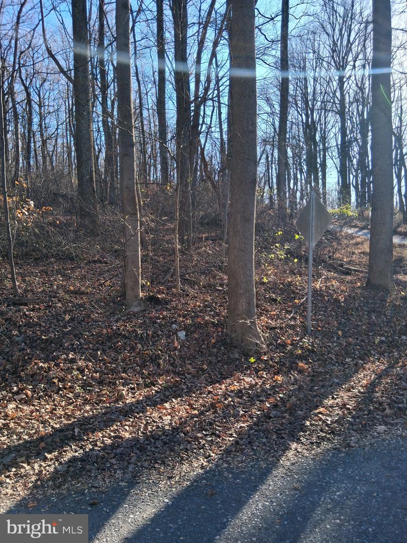 REID DR, FRONT ROYAL, Virginia 22630, ,Land,For sale,REID DR,VAWR2012780 MLS # VAWR2012780 REID DR, FRONT ROYAL, Virginia 22630, ,Land,For sale,REID DR,VAWR2012780 MLS # VAWR2012780