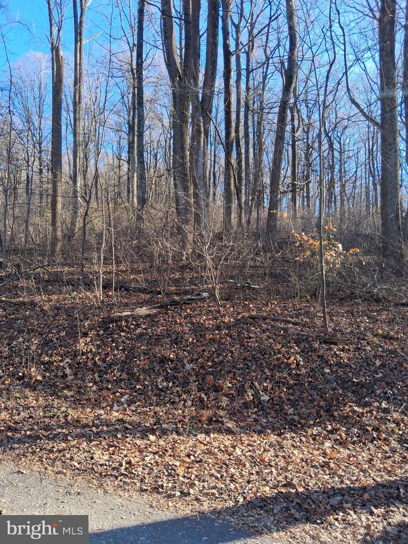 REID DR, FRONT ROYAL, Virginia 22630, ,Land,For sale,REID DR,VAWR2012780 MLS # VAWR2012780 REID DR, FRONT ROYAL, Virginia 22630, ,Land,For sale,REID DR,VAWR2012780 MLS # VAWR2012780