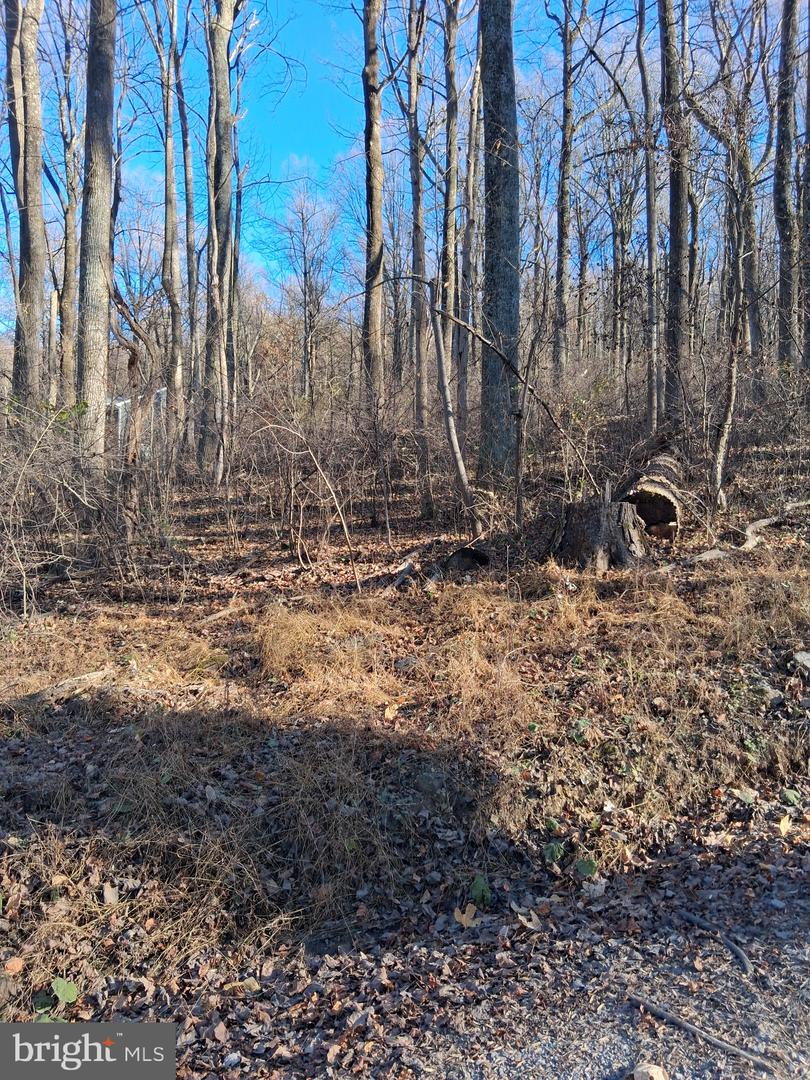 REID DR, FRONT ROYAL, Virginia 22630, ,Land,For sale,REID DR,VAWR2012780 MLS # VAWR2012780 REID DR, FRONT ROYAL, Virginia 22630, ,Land,For sale,REID DR,VAWR2012780 MLS # VAWR2012780