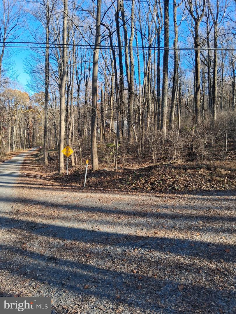 REID DR, FRONT ROYAL, Virginia 22630, ,Land,For sale,REID DR,VAWR2012780 MLS # VAWR2012780 REID DR, FRONT ROYAL, Virginia 22630, ,Land,For sale,REID DR,VAWR2012780 MLS # VAWR2012780