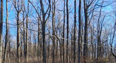 REID DR, FRONT ROYAL, Virginia 22630, ,Land,For sale,REID DR,VAWR2012780 MLS # VAWR2012780
