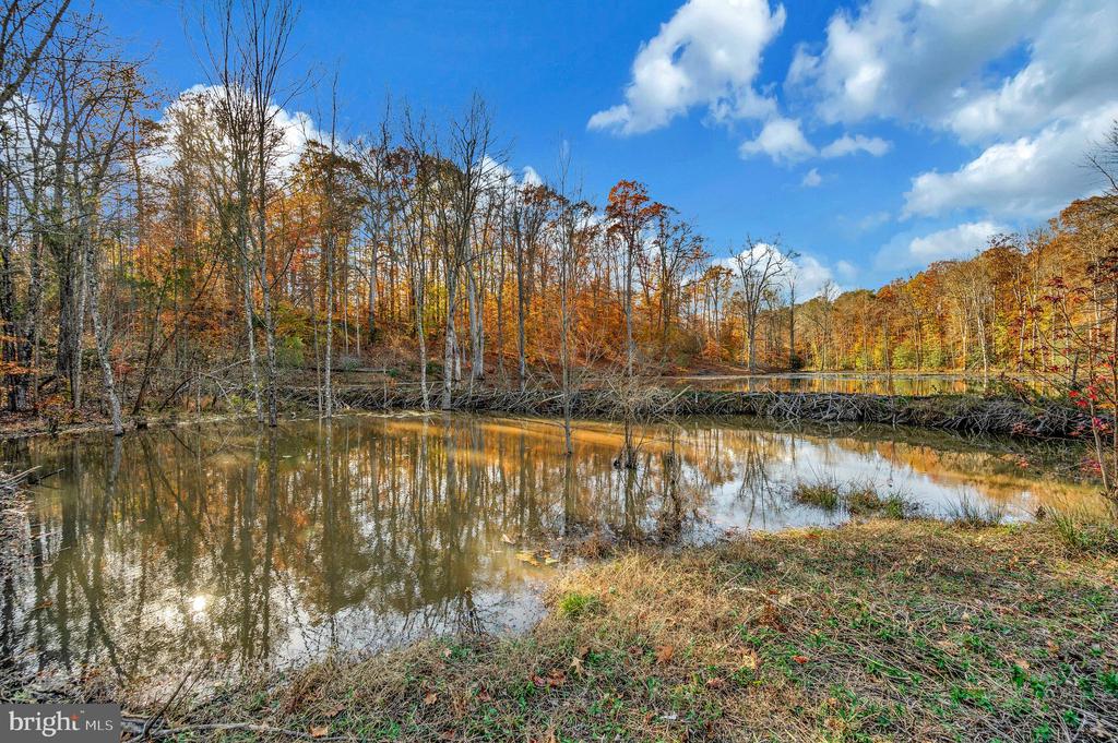 9406 BRAKEN CT, FREDERICKSBURG, Virginia 22408, 4 Bedrooms Bedrooms, ,3 BathroomsBathrooms,Residential,9406 BRAKEN CT,VASP2037562 MLS # VASP2037562 9406 BRAKEN CT, FREDERICKSBURG, Virginia 22408, 4 Bedrooms Bedrooms, ,3 BathroomsBathrooms,Residential,9406 BRAKEN CT,VASP2037562 MLS # VASP2037562