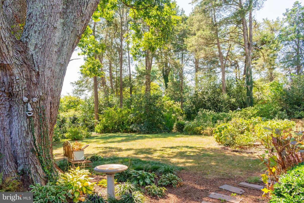 358 MAIN ST, ORANGE, Virginia 22960, 4 Bedrooms Bedrooms, ,3 BathroomsBathrooms,Residential,358 MAIN ST,VAOR2012796 MLS # VAOR2012796 358 MAIN ST, ORANGE, Virginia 22960, 4 Bedrooms Bedrooms, ,3 BathroomsBathrooms,Residential,358 MAIN ST,VAOR2012796 MLS # VAOR2012796