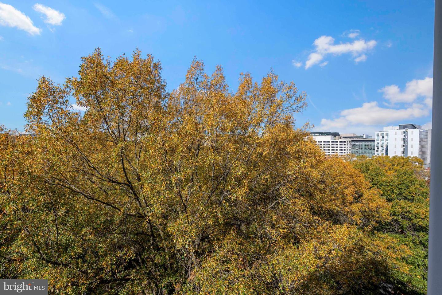 800 4TH ST SW #N801, WASHINGTON, District Of Columbia 20024, 1 Bedroom Bedrooms, ,1 BathroomBathrooms,Residential,For sale,800 4TH ST SW #N801,DCDC2223582 MLS # DCDC2223582