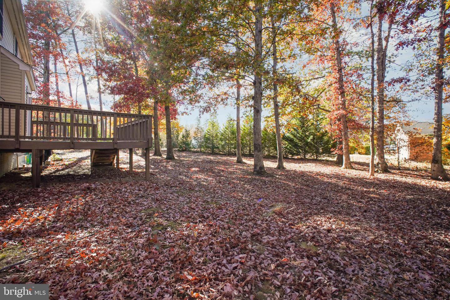 3900 MONTICELLO ST, FREDERICKSBURG, Virginia 22408, 4 Bedrooms Bedrooms, ,3 BathroomsBathrooms,Residential,For sale,3900 MONTICELLO ST,VASP2036960 MLS # VASP2036960 3900 MONTICELLO ST, FREDERICKSBURG, Virginia 22408, 4 Bedrooms Bedrooms, ,3 BathroomsBathrooms,Residential,For sale,3900 MONTICELLO ST,VASP2036960 MLS # VASP2036960