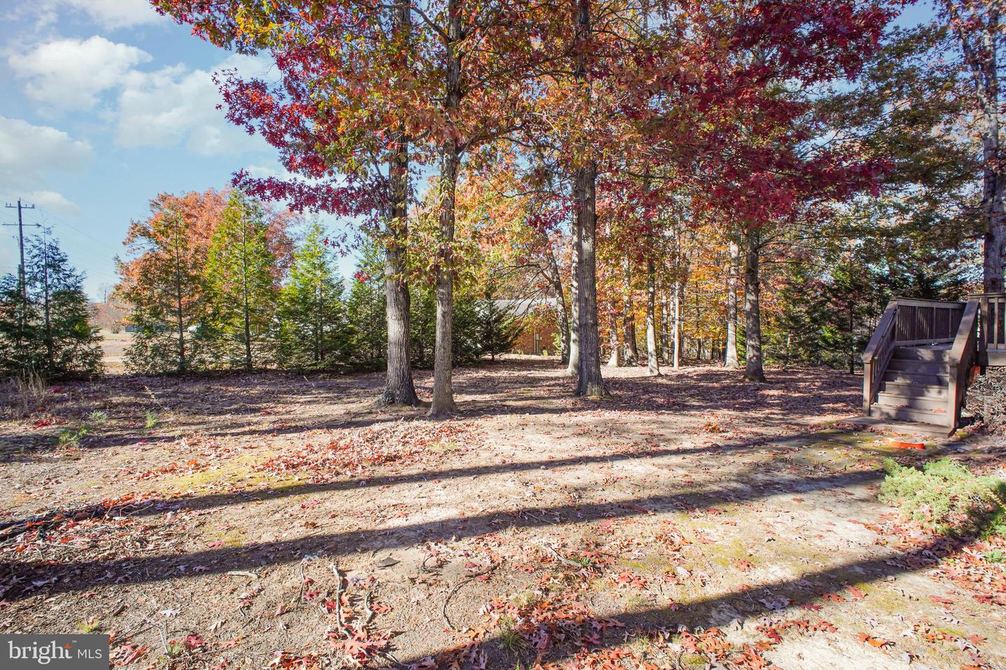 3900 MONTICELLO ST, FREDERICKSBURG, Virginia 22408, 4 Bedrooms Bedrooms, ,3 BathroomsBathrooms,Residential,For sale,3900 MONTICELLO ST,VASP2036960 MLS # VASP2036960 3900 MONTICELLO ST, FREDERICKSBURG, Virginia 22408, 4 Bedrooms Bedrooms, ,3 BathroomsBathrooms,Residential,For sale,3900 MONTICELLO ST,VASP2036960 MLS # VASP2036960