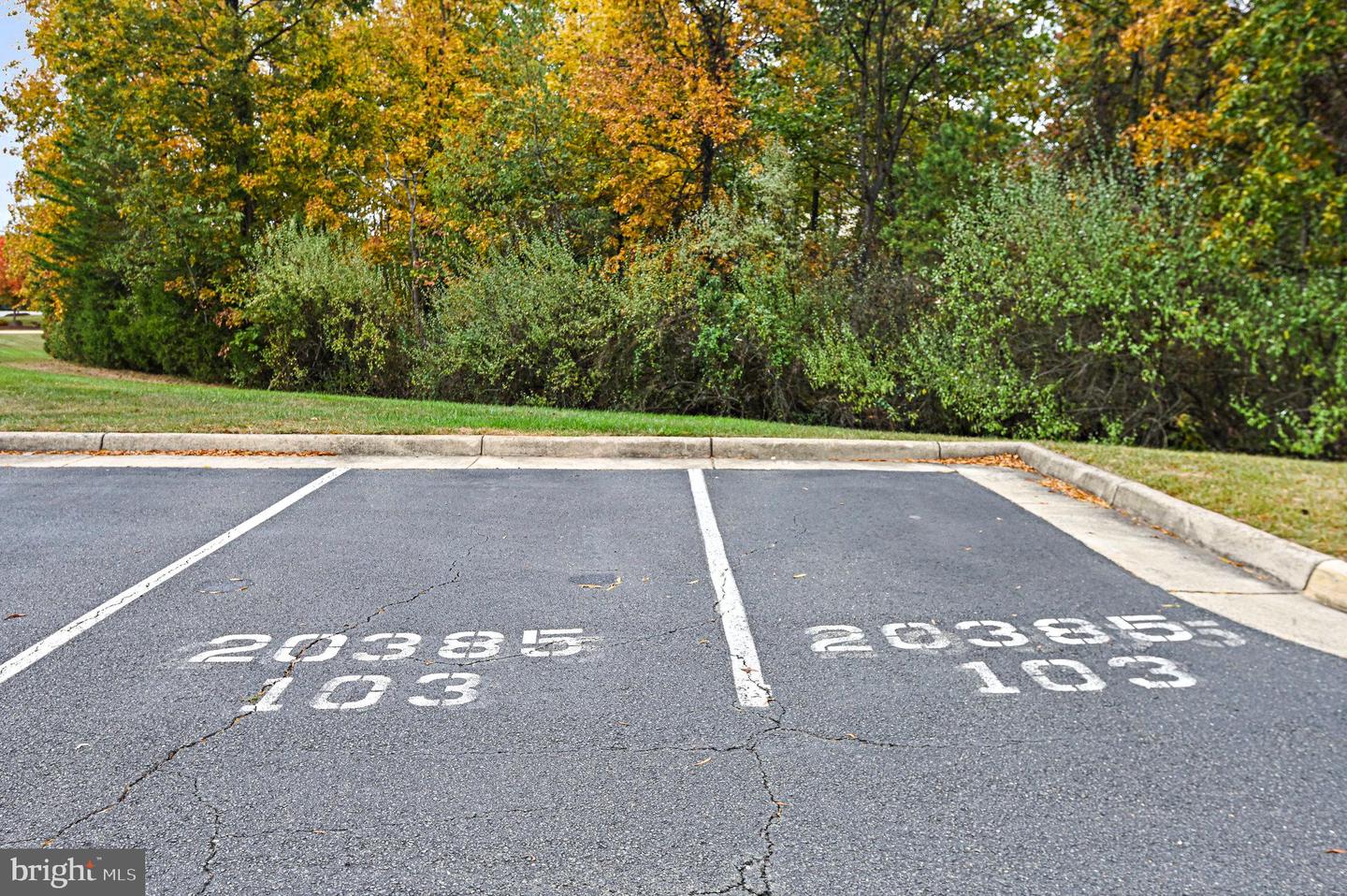 20385 BELMONT PARK TER #103, ASHBURN, Virginia 20147, 2 Bedrooms Bedrooms, ,2 BathroomsBathrooms,Residential,For sale,20385 BELMONT PARK TER #103,VALO2109130 MLS # VALO2109130 20385 BELMONT PARK TER #103, ASHBURN, Virginia 20147, 2 Bedrooms Bedrooms, ,2 BathroomsBathrooms,Residential,For sale,20385 BELMONT PARK TER #103,VALO2109130 MLS # VALO2109130