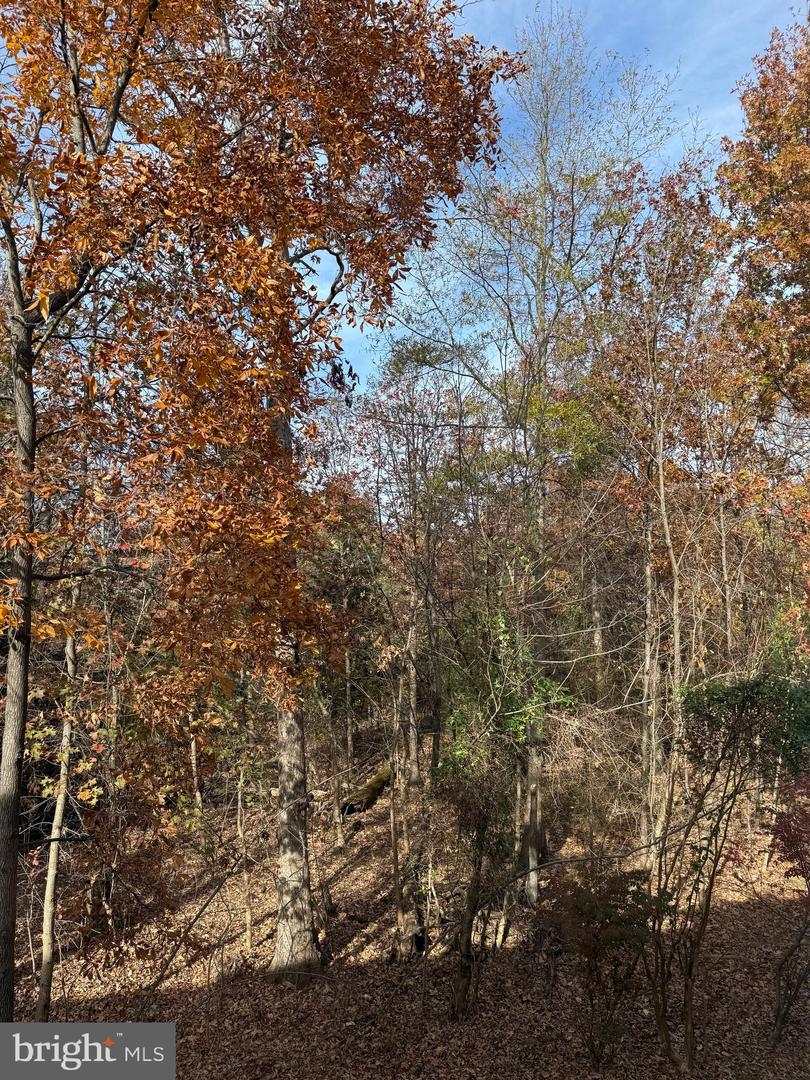 44424 LIVONIA TER, ASHBURN, Virginia 20147, 3 Bedrooms Bedrooms, ,3 BathroomsBathrooms,Residential,For sale,44424 LIVONIA TER,VALO2109498 MLS # VALO2109498