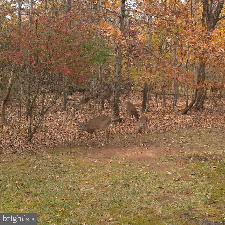 44424 LIVONIA TER, ASHBURN, Virginia 20147, 3 Bedrooms Bedrooms, ,3 BathroomsBathrooms,Residential,For sale,44424 LIVONIA TER,VALO2109498 MLS # VALO2109498