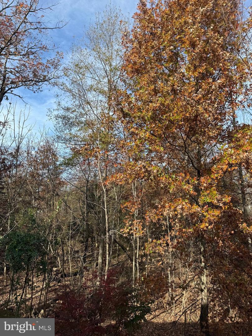 44424 LIVONIA TER, ASHBURN, Virginia 20147, 3 Bedrooms Bedrooms, ,3 BathroomsBathrooms,Residential,For sale,44424 LIVONIA TER,VALO2109498 MLS # VALO2109498