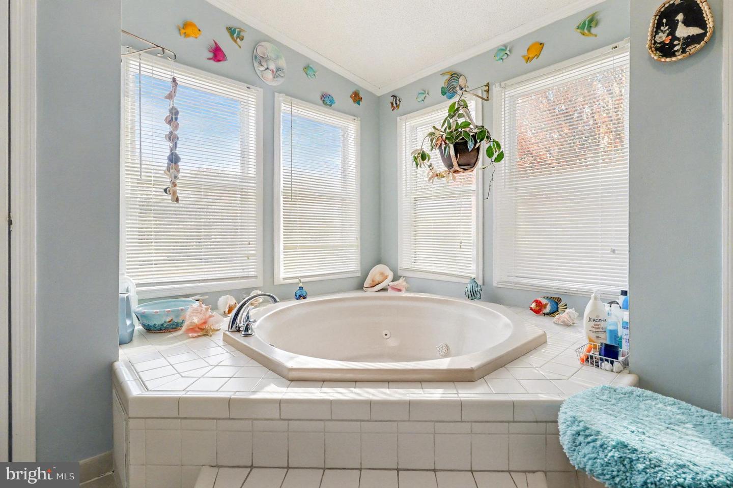 13092 STATE RD, KING GEORGE, Virginia 22485, 3 Bedrooms Bedrooms, ,2 BathroomsBathrooms,Residential,For sale,13092 STATE RD,VAKG2007204 MLS # VAKG2007204