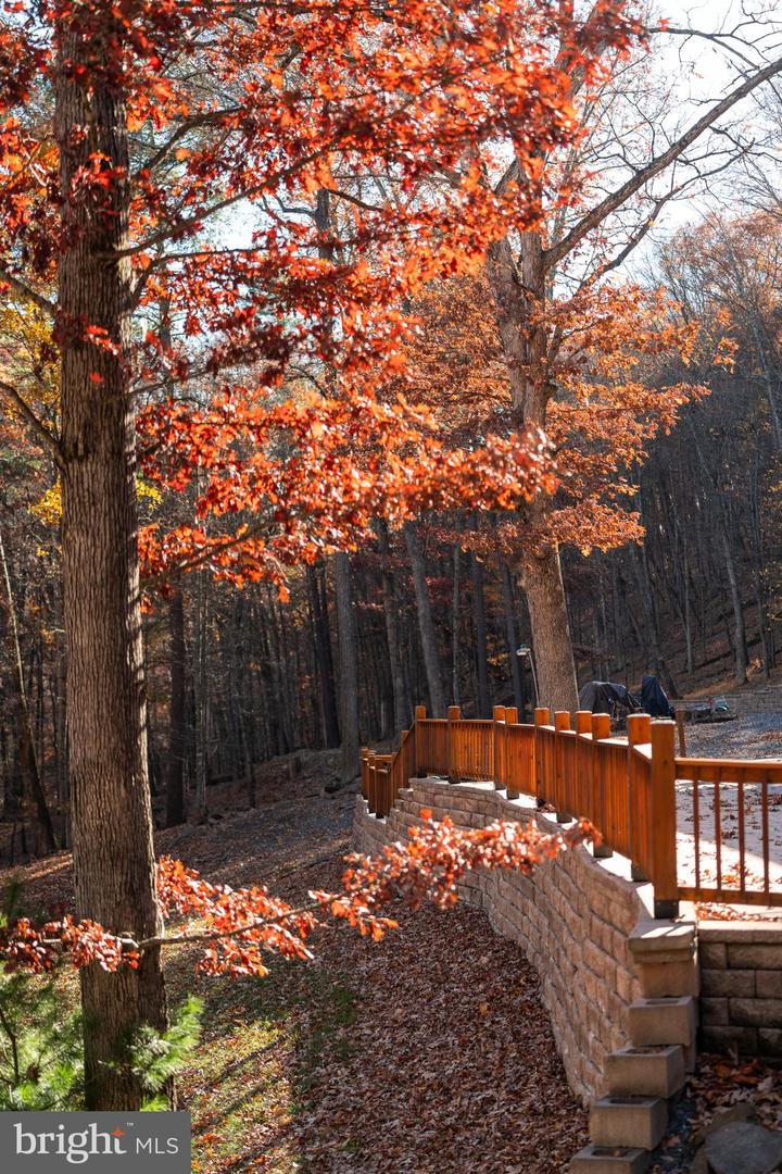 22606 GERMAN RIVER RD, CRIDERS, Virginia 22820, 3 Bedrooms Bedrooms, ,3 BathroomsBathrooms,Residential,For sale,22606 GERMAN RIVER RD,VARO2002672 MLS # VARO2002672 22606 GERMAN RIVER RD, CRIDERS, Virginia 22820, 3 Bedrooms Bedrooms, ,3 BathroomsBathrooms,Residential,For sale,22606 GERMAN RIVER RD,VARO2002672 MLS # VARO2002672