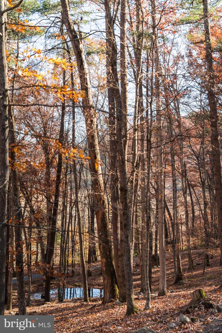 22606 GERMAN RIVER RD, CRIDERS, Virginia 22820, 3 Bedrooms Bedrooms, ,3 BathroomsBathrooms,Residential,For sale,22606 GERMAN RIVER RD,VARO2002672 MLS # VARO2002672 22606 GERMAN RIVER RD, CRIDERS, Virginia 22820, 3 Bedrooms Bedrooms, ,3 BathroomsBathrooms,Residential,For sale,22606 GERMAN RIVER RD,VARO2002672 MLS # VARO2002672