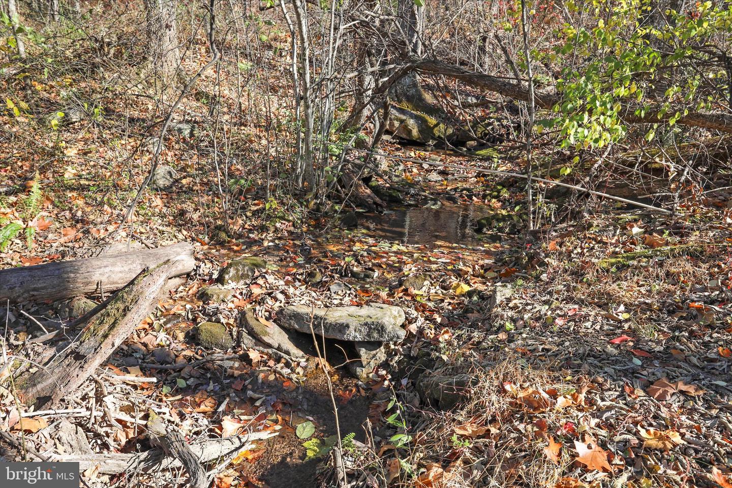 799 STEPHENS LN, FORT VALLEY, Virginia 22652, 3 Bedrooms Bedrooms, ,2 BathroomsBathrooms,Residential,For sale,799 STEPHENS LN,VASH2012886 MLS # VASH2012886 799 STEPHENS LN, FORT VALLEY, Virginia 22652, 3 Bedrooms Bedrooms, ,2 BathroomsBathrooms,Residential,For sale,799 STEPHENS LN,VASH2012886 MLS # VASH2012886