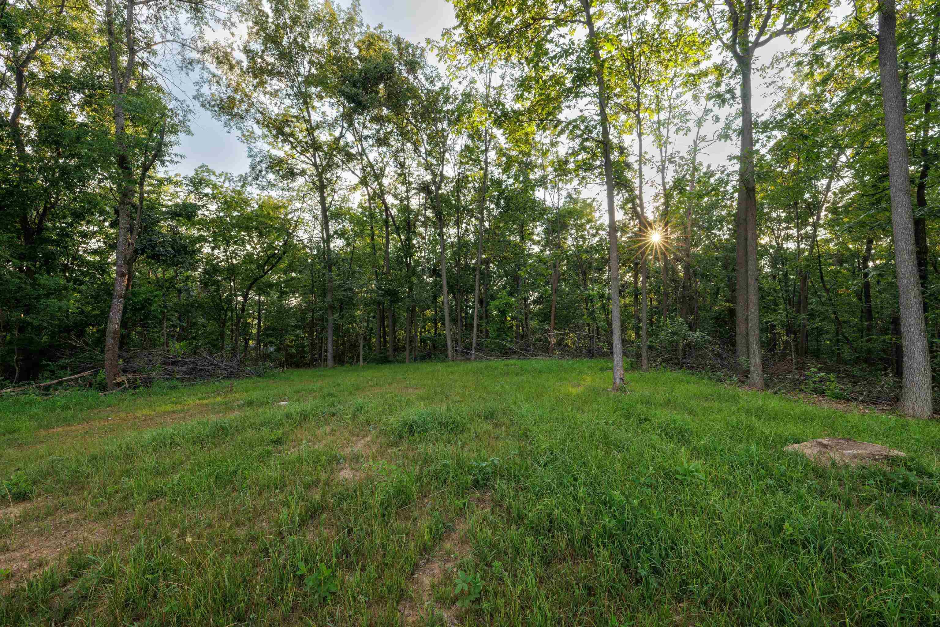 000 STUARTS DRAFT HWY, STUARTS DRAFT, Virginia 24477, ,Land,000 STUARTS DRAFT HWY,671102 MLS # 671102 000 STUARTS DRAFT HWY, STUARTS DRAFT, Virginia 24477, ,Land,000 STUARTS DRAFT HWY,671102 MLS # 671102