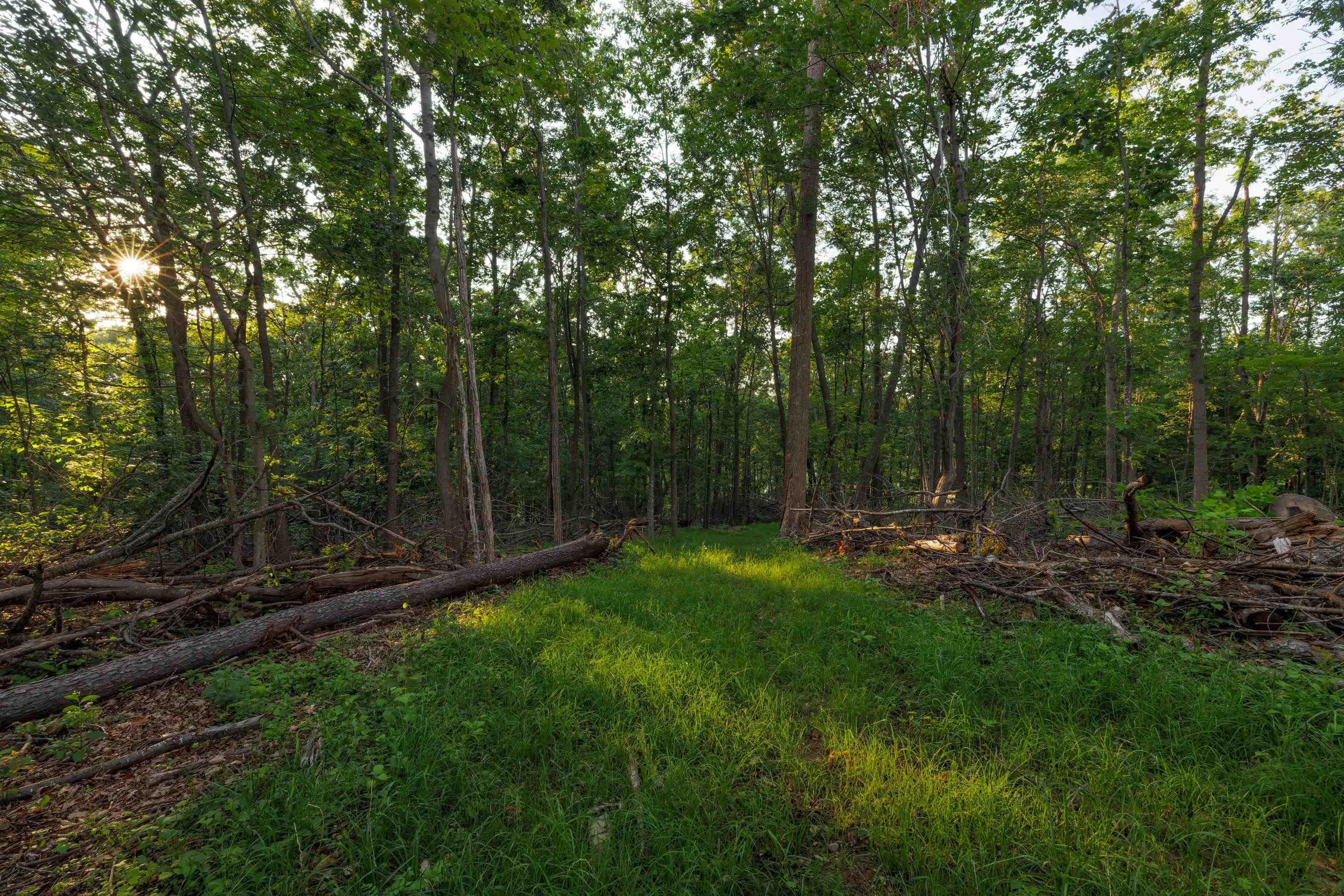 000 STUARTS DRAFT HWY, STUARTS DRAFT, Virginia 24477, ,Land,000 STUARTS DRAFT HWY,671102 MLS # 671102 000 STUARTS DRAFT HWY, STUARTS DRAFT, Virginia 24477, ,Land,000 STUARTS DRAFT HWY,671102 MLS # 671102